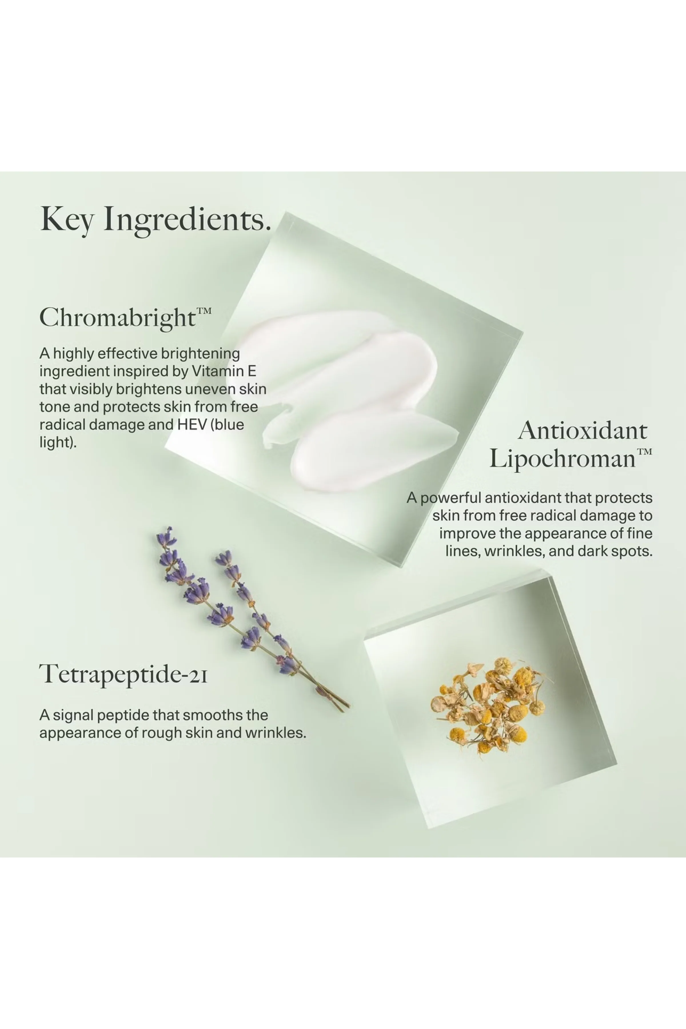Anti-Aging Repair Moisturizer - Image 3