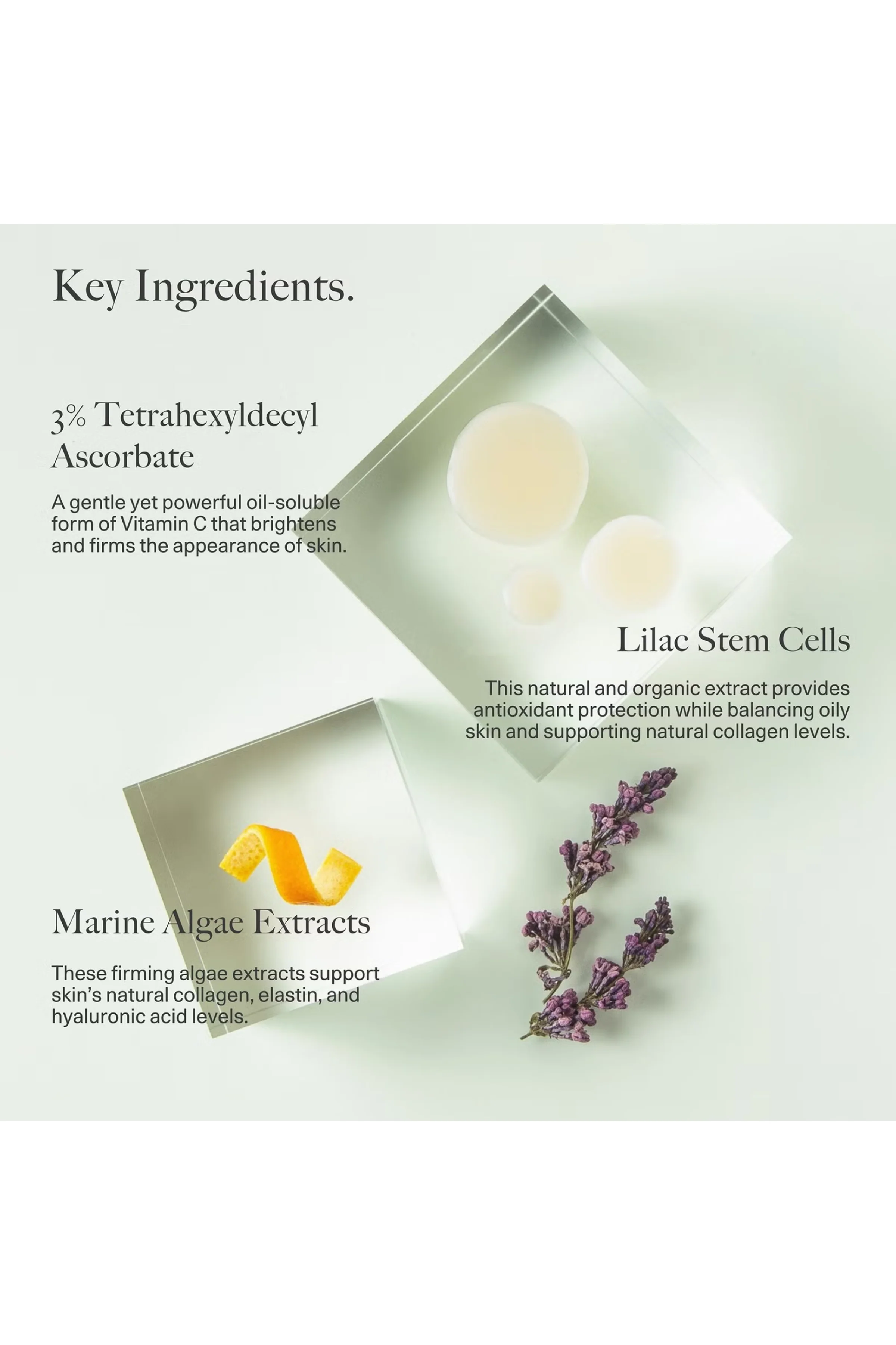 Antioxidant Repair Serum - Image 3