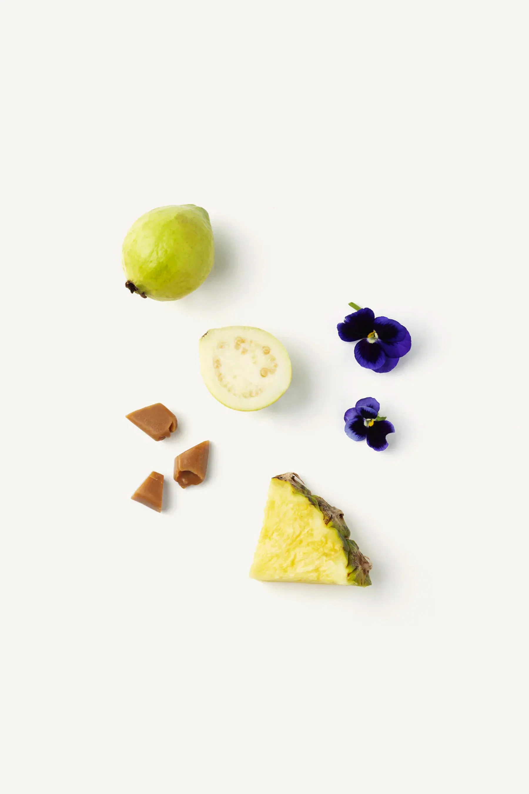 Anguilla Lip Balm - Image 3