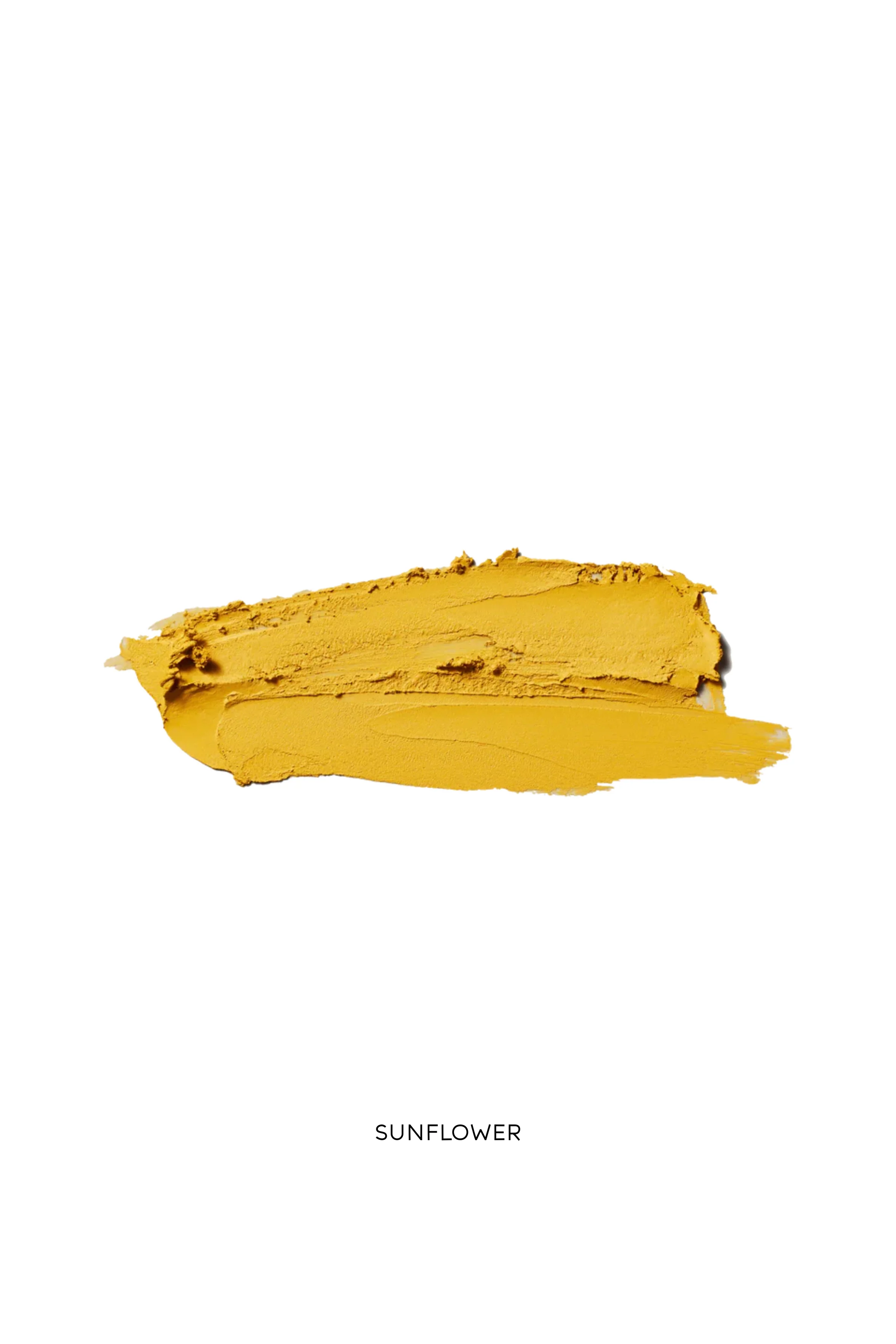 EyeWear - Image 11