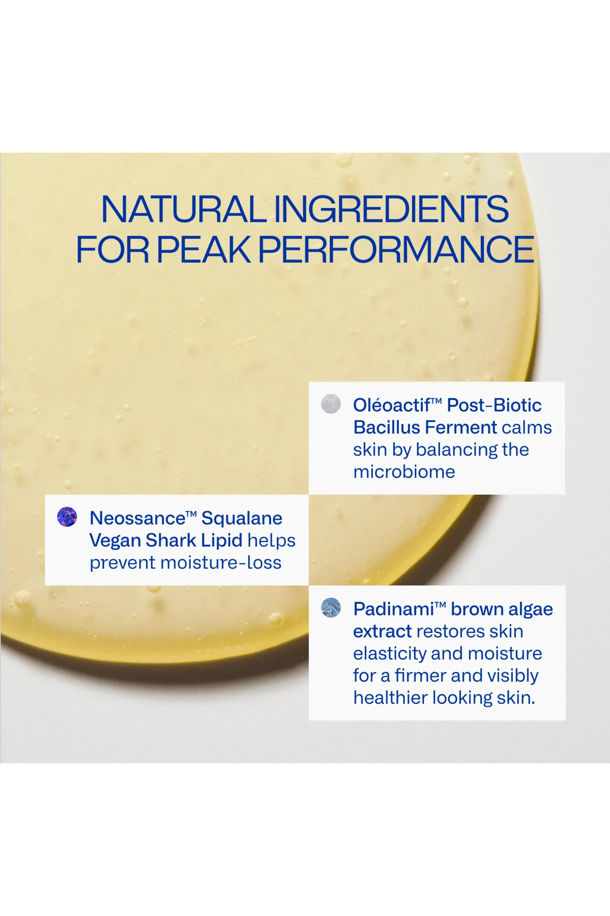 Deeper Dive Moisturizer - Image 4