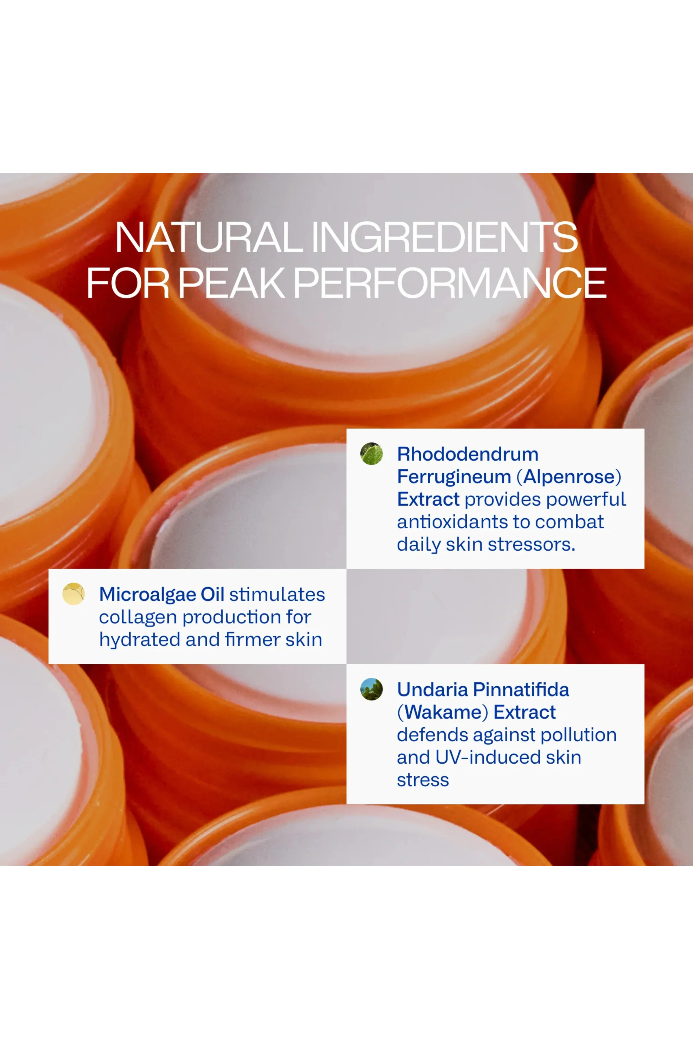 Peak Performance Sun Stick SPF50 - Image 3