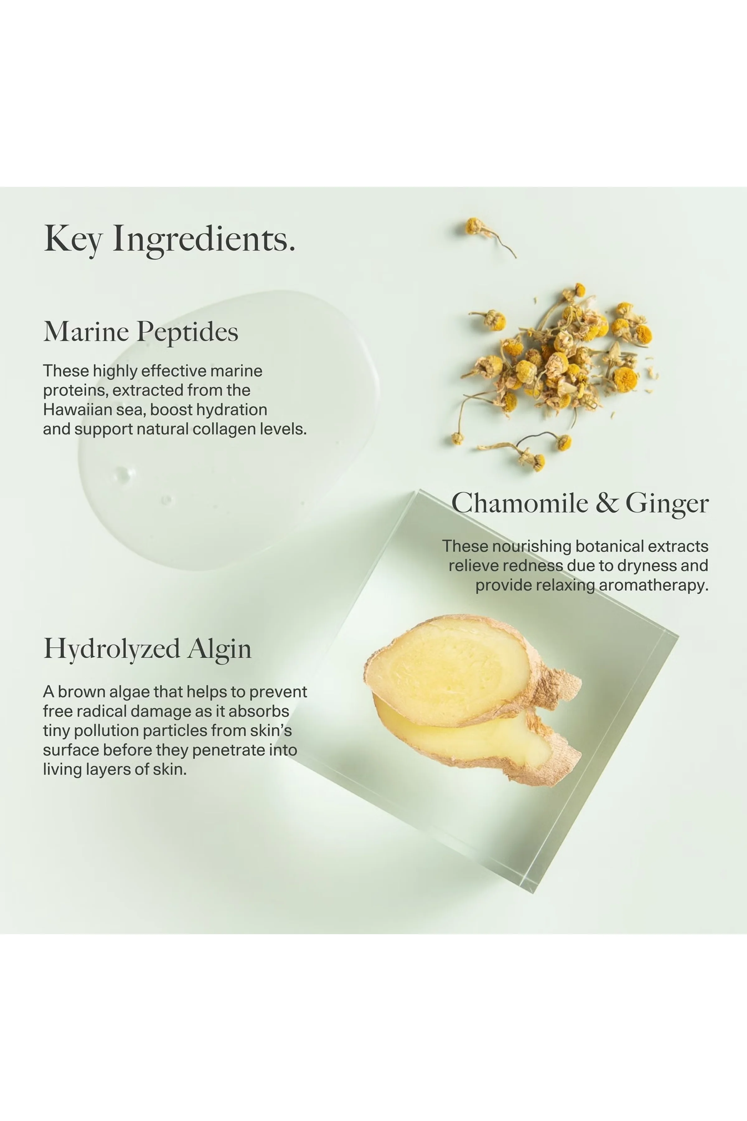 Gentle Hydrating Cleanser - Image 3