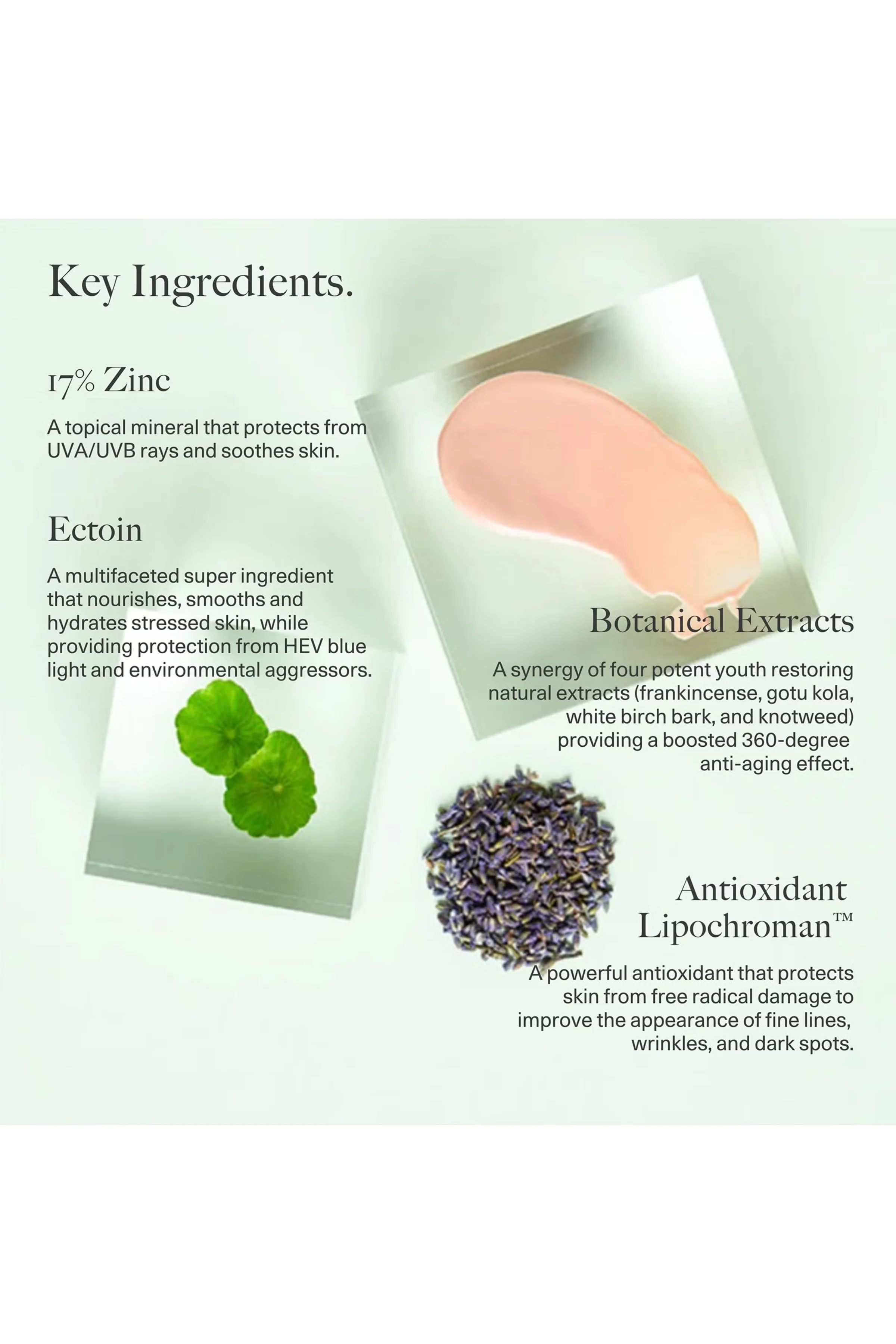 Universal Glow Daily Defense Mineral Sunscreen SPF40 - Image 3